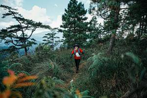 BIB: 
                            <button type="button" onclick="openModal(25260631)" class="btn btn-primary btn-sm float-right btn-popup" data-toggle="modal" data-target=".modal-high-quality">
                        <i class="fas fa-shopping-cart"></i> Add to Cart
                    </button>
                                            <button type="button" onclick="isThisMe(25260631, true)" class="btn btn-success btn-sm float-right btn-popup btn-isme hidden" data-toggle="tooltip" data-placement="bottom" title="นี่คือรูปของคุณใช่ไหม คลิกที่นี่เพื่อเอาเข้าอัลบั้ม">
                        <i class="fas fa-plus"></i> Add to album
                    </button>
                    <button type="button" onclick="isThisMe(25260631, false)" class="btn btn-warning btn-sm float-right btn-popup btn-isnotme hidden">
                        <i class="fas fa-ban"></i> Remove from album
                    </button>